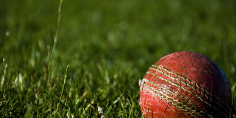 球迷在互动社区中热烈讨论世界杯赛事